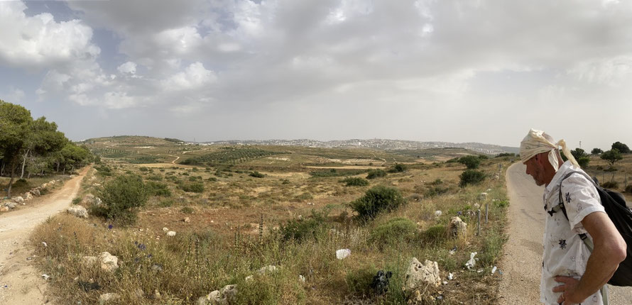 Israël - Tzippori - Uitzicht over de velden op het vijf of zes kilometer verderop gelegen Nazareth - ThP 230602