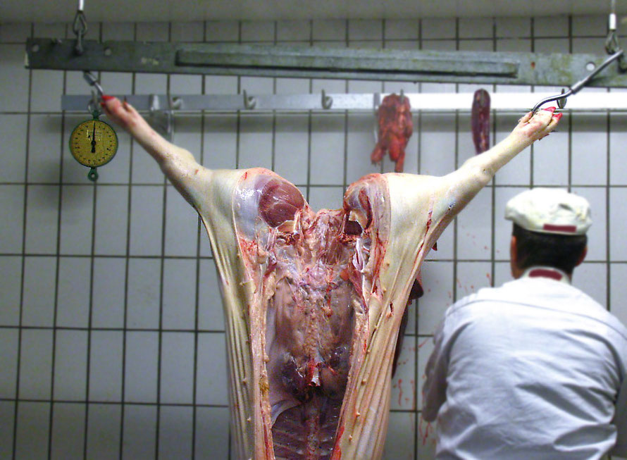 Ein geschlachtetes Schwein hängt mit durchtrenntem Körper an seinen Füßen an zwei Haken. Davor ist ein Mann von hinten zu sehen, der Schlachterkleidung trägt.