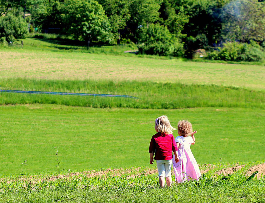 Zwei kleine Kinder in Sommerkleidung, die von hinten zu sehen sind, laufen auf einer grünen Weide.
