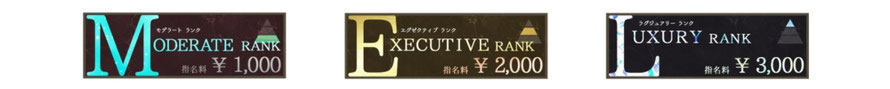 ランクアイコン一覧　モデラートランク　エグゼクティブランク　ラグジュアリーランク　札幌 女性用風俗 女風