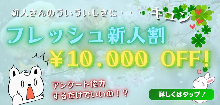 フレッシュ新人割　アンケート協力するだけで￥10,000OFF　「フレッシュ！新人割」ページへのリンクバナー　女性用風俗 札幌　女風