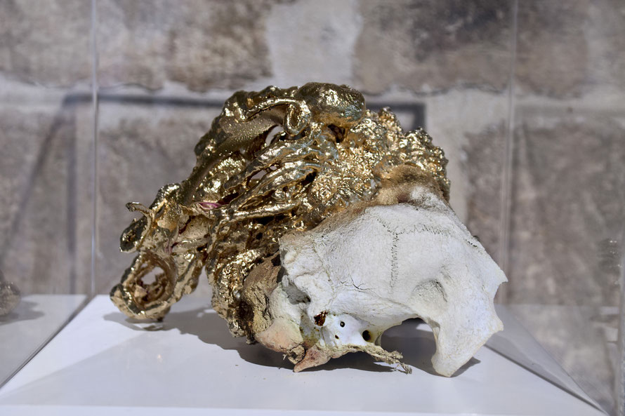 Nadine Baldow Occupied Object installation view: Valletta Contemporary, Pristine Paradise, Sculpture, Scull