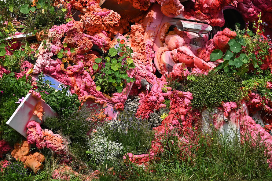 Nadine Baldow, Detail of the sculpture HUMAN HABITAT at MS DOCKVILLE, plants are taking over a sculpture