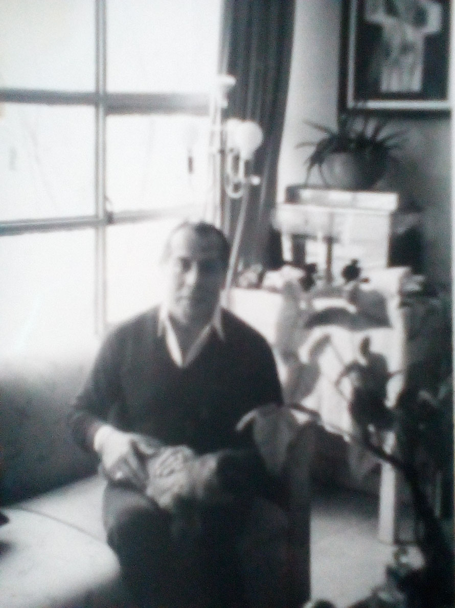 YO MERO CON ORFEO MI GATITO SIAMES, NOS UNIO UNA PASION INMESA ME DURO 21 AÑOS UN BENDITO REGALO DE LA VIDA...