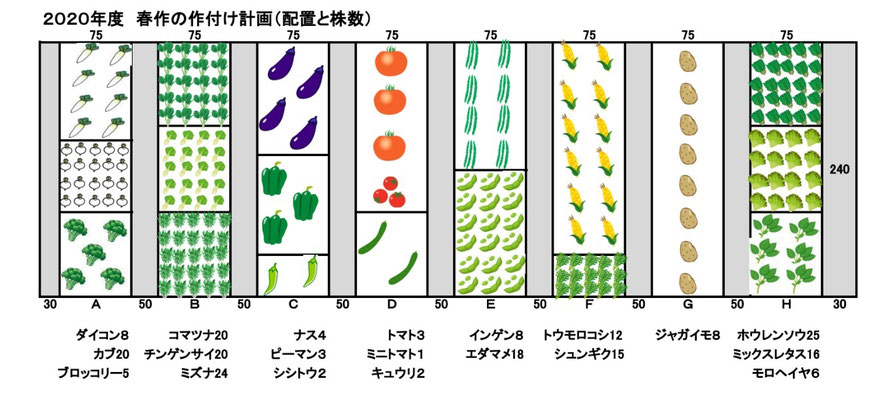 八つの各畝で育てる野菜の種類と株数、植える配置位置を示す
