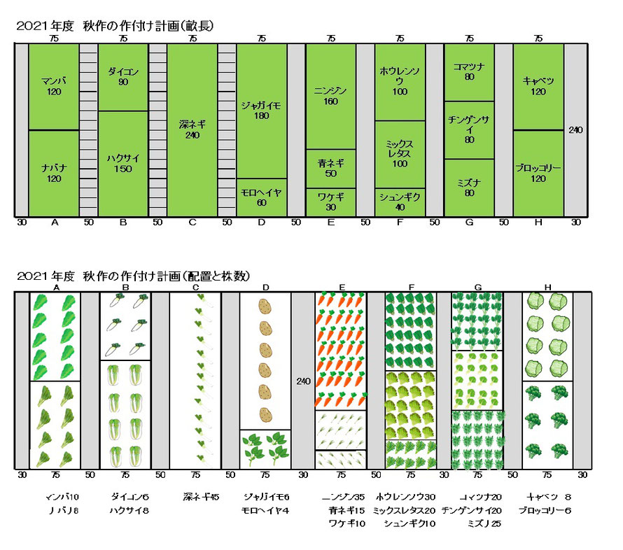 八つの各畝に栽培予定の野菜の種類と配置、植える畝長を示す