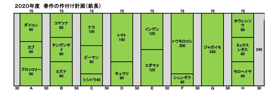 キャベツ｜野菜の作業おたすけ帳｜営農情報 営農PLUS｜農業
