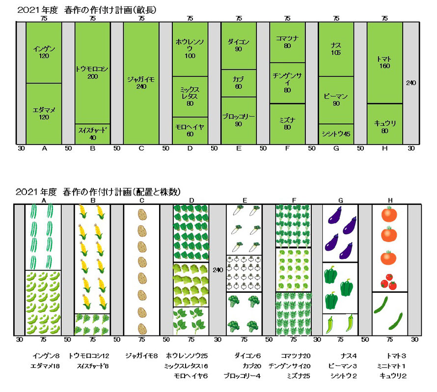 八つの各畝で育てる野菜の種類と株数、植える配置位置を示す