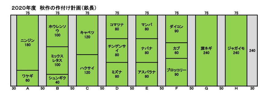 八つの各畝に栽培予定の野菜の種類と配置、植える畝長を示す