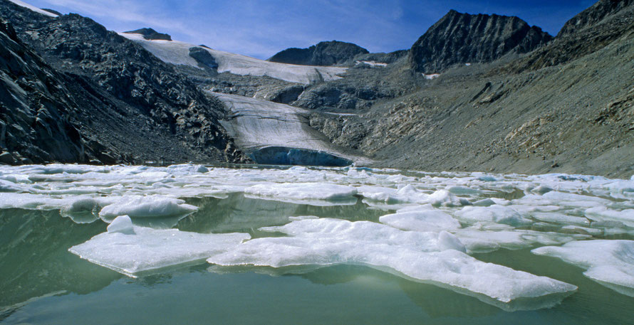 Der Pisganagletscher kalbt in den jungen Eissee, Adamellogruppe, © Rosenwirth