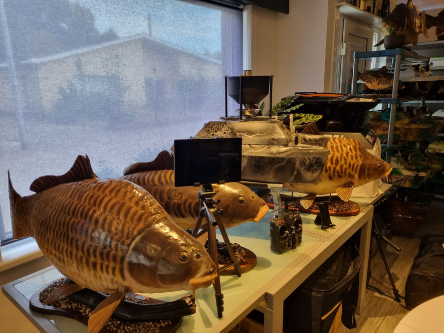 Huur Voerboot Voerboten Baitbaots Baitbaot Pulse Bleu Pulse Red pulse Black XR310 Toslon XR500 autopilot Carppilot pro onderwatercamera Toslon TF520 visvinder Fishfinders visvinders ToslonTF740 karpervisser Raymarine pro5 3DCarps karper huren voerboot