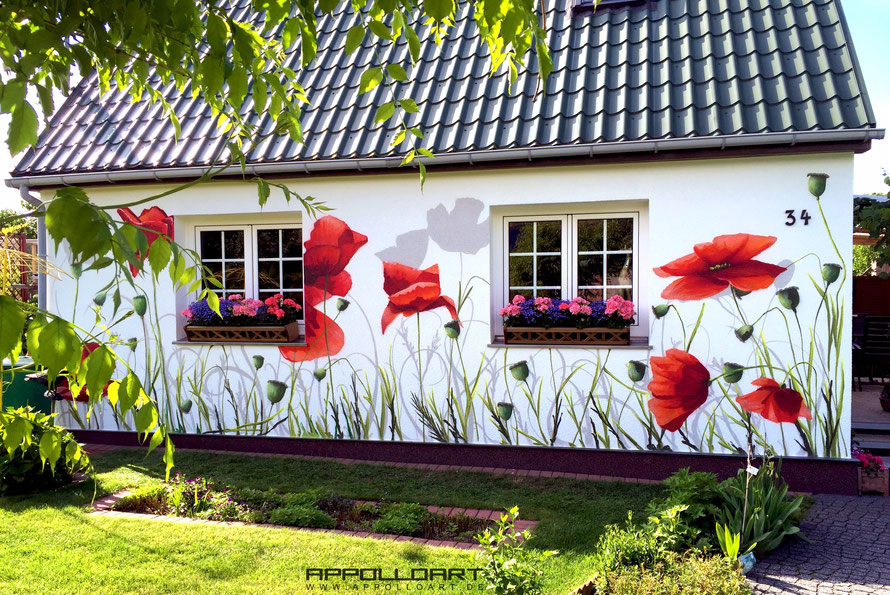 Hauswand mit Mahnblumen im privaten Bereich