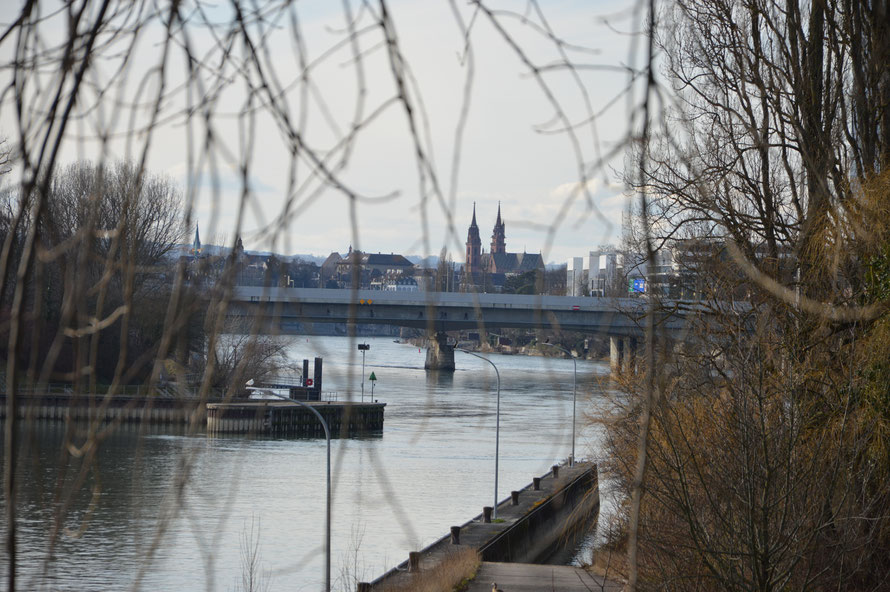 Blick auf die Stadt Basel