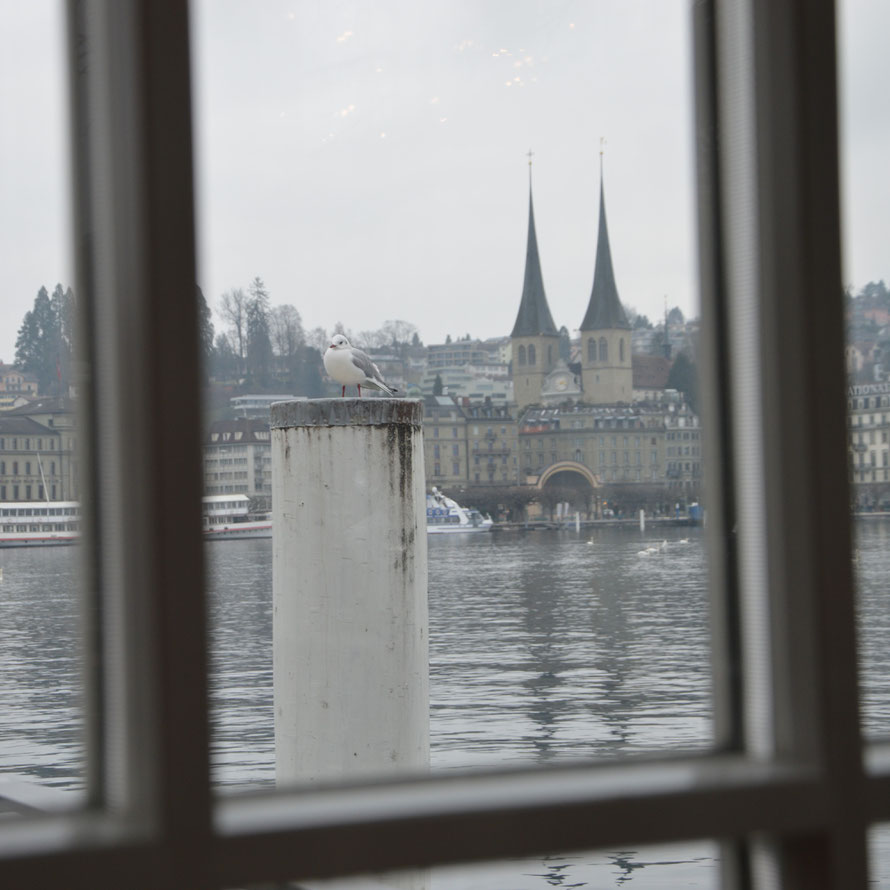 Meine Aussicht beim Kaffeetrinken und Bericht schreiben - Seebistro Luzern