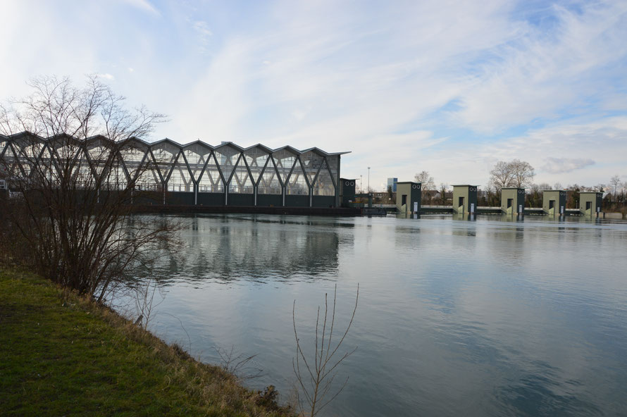 Das Wasserkraftwerk Birfelden von der oberen Seite her.