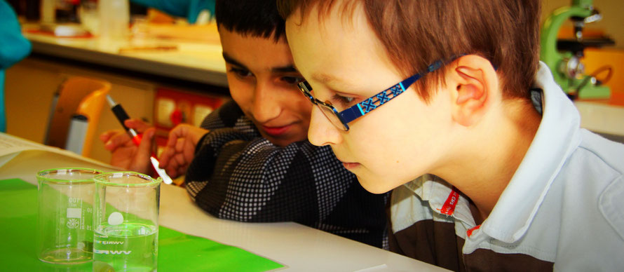 NawiLab und MicroLab - LiseLabs Schülerlabore an der Lise-Meitner-Schule