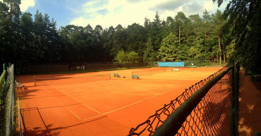 Tennis Sulzbach Tennis Sulzbach