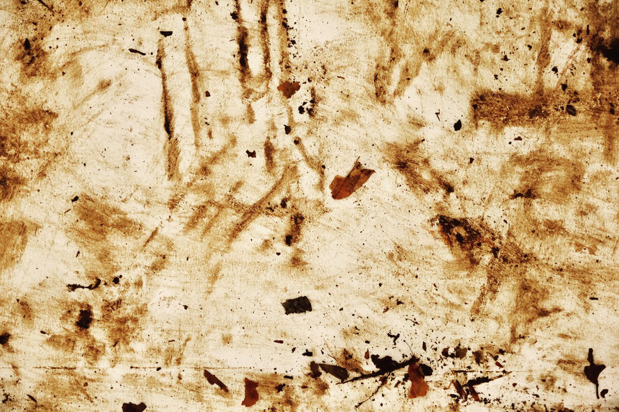 'Drawing/Painting With The Feet' Roggebotbos Dronten 2019 Soil on White Paper/