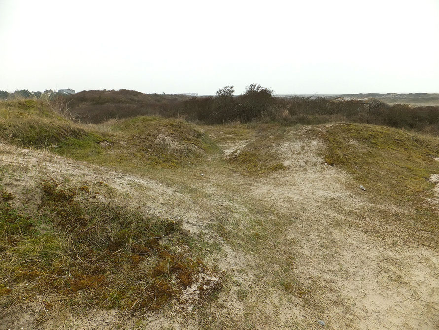 Les dunes de Cayeux La Mollière Brighton
