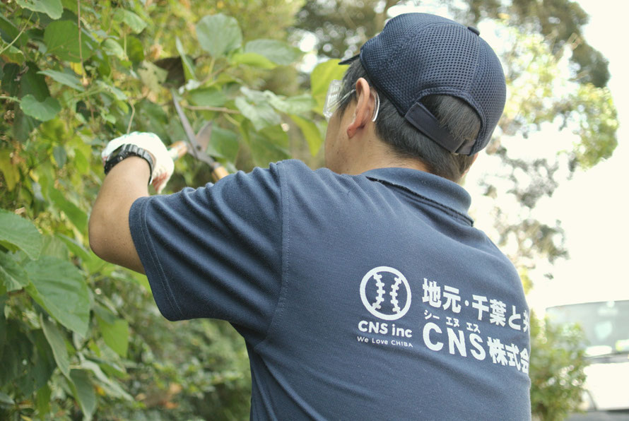 想い出のつまった家 ＣＮＳ（シー・エヌ・エス）株式会社と向き合い実家の整理 千葉県香取市 茨城県エリア 空き家 遺品 生前整理 引越し