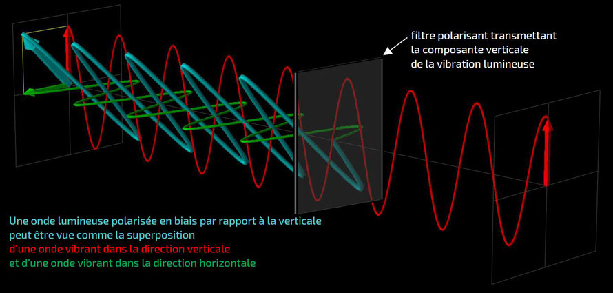 filtre polarisant, loi de Malus