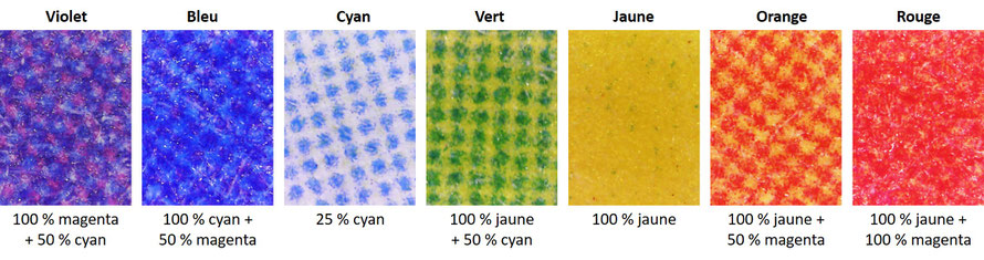 Les secteurs colorés du disque de Newton vus au microscope numérique