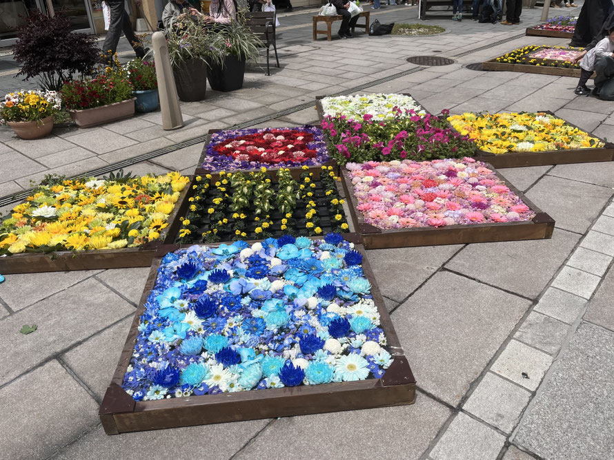 好きな花たちを眺めていたら、ふとMISIAの〝♪ 名前のない空を見上げて〟が頭の中に流れてきました。この歌は花を見たり、孫たちを思い浮かべたときに出てきます。メロディーが美しく歌詞が優しくて 幸福度が高まったときのテーマソングです