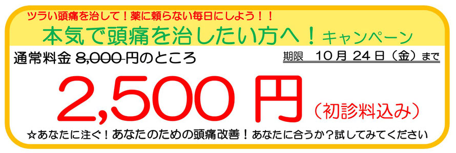 あなたの一歩を応援しますキャンペーン。１回8,000円のところ、お試し2,500円。あなたの頭痛に効くか？１回受けてみてください。キャンペーン期限１２月１２日まで