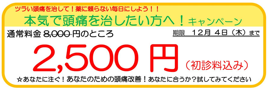ツラい頭痛から解放されたい方、薬に頼らず頭痛のない生活を送りたい方は「大分別府 頭痛専門ここまろ調整院」へお越しください。本気で頭痛を治したい方へキャンペーンを行っています。あなたのための頭痛治療です。
