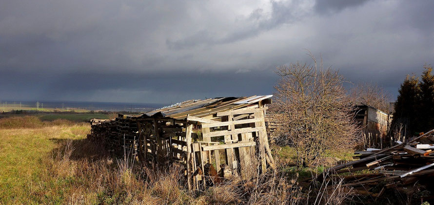 Wanderung über die Bruchsaler Hügel - Blick in die Rheinebene | Foto (c) Dieter Müller