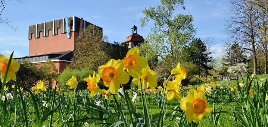 Im Bruchsaler Bürgerpark, links die Badische Landesbühne im Bürgerzentrum, in der Mitte der Bergfried | Foto (c) Dieter Müller