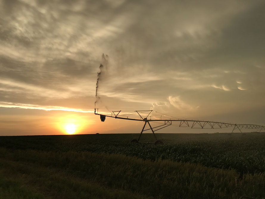 Aerial view of Livingston Family Farms in Nebraska