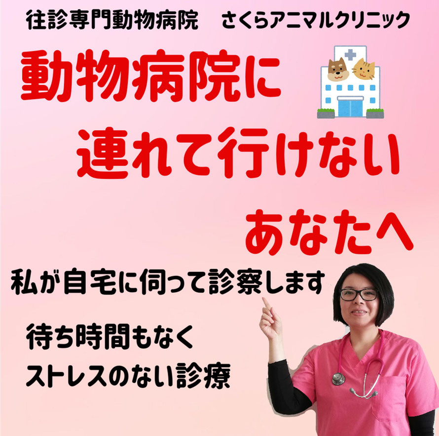 動物病院に連れて行けないあなたへ　私が自宅まで伺って診察します　待ち時間もなくストレスのない診察