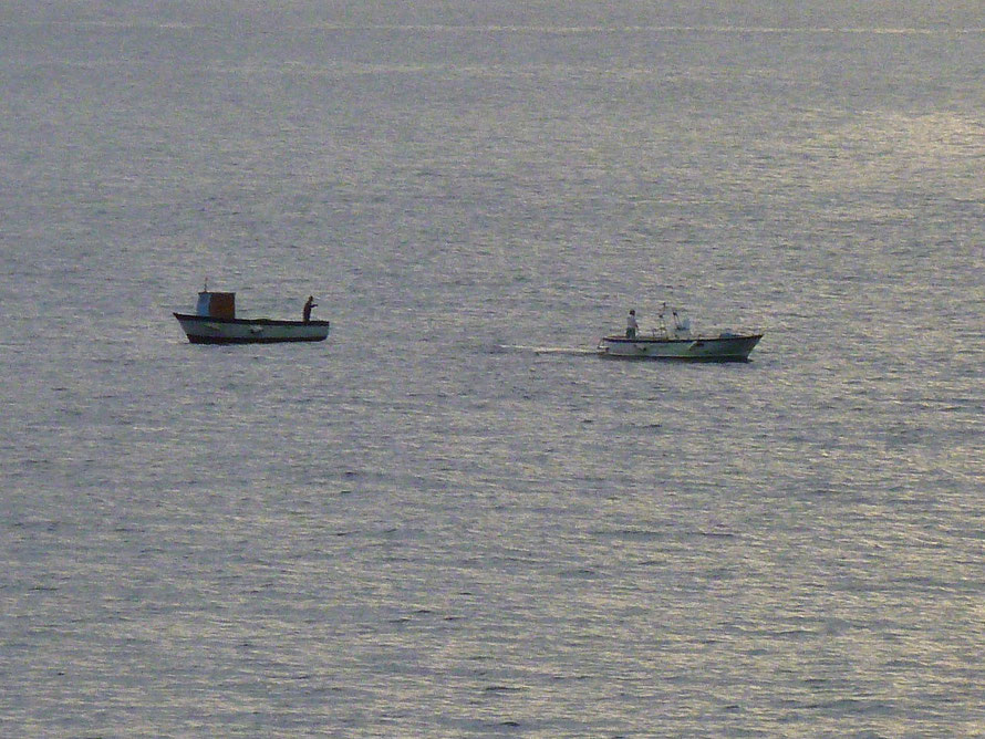 Der Fang für das Abendessen wird noch kurz vor Sonnenuntergang eingeholt. Die italienische Küstenwache schaut teilweise vom Land aus zu und kontrolliert, was gefangen wurde.