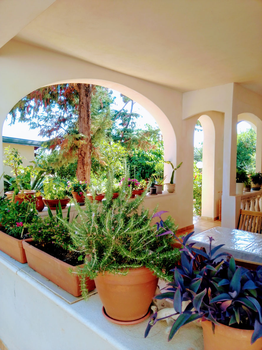Grosse Ferienwohnung mit Terrasse und Garten