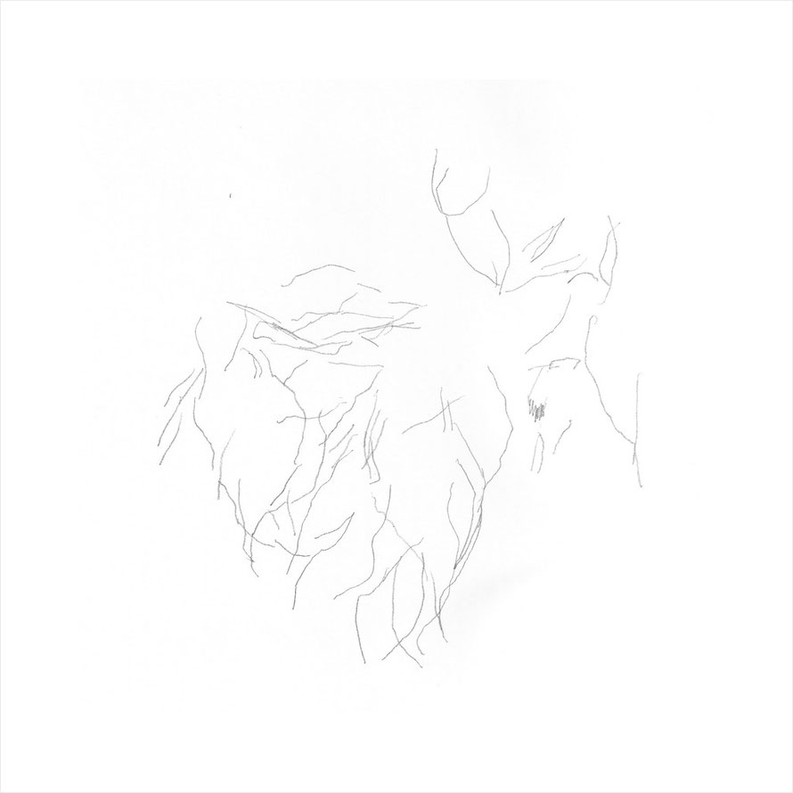 empathetic drawings series, #1102121847, 2012, pencil on paper, 25x25cm