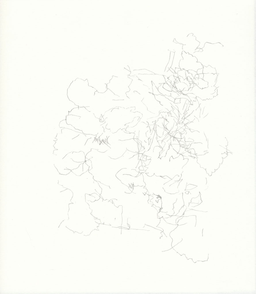 empathetic drawings series, #2201142209, 2014, pencil on paper, 25x25cm