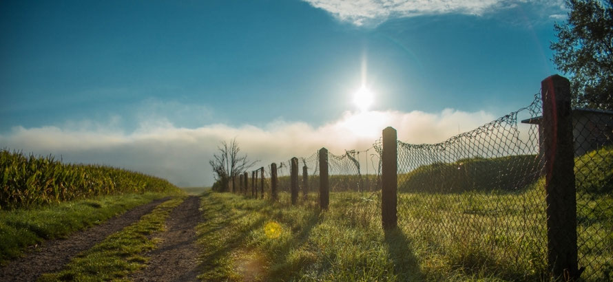 Ein dramatischer Weg in der Sonne
