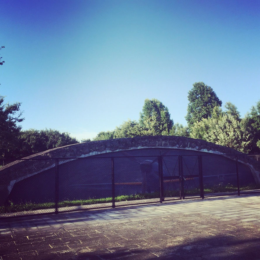 Wartime Aircraft concrete hangers Ohasawa No. 1 at Musashino no mori Park Tokyo Mitaka waiking historical tourist spot TAMA Tourism Promotin - Visit Tama　掩体壕　大沢１号　東京都三鷹市　散策　歴史　観光スポット　多摩観光振興会