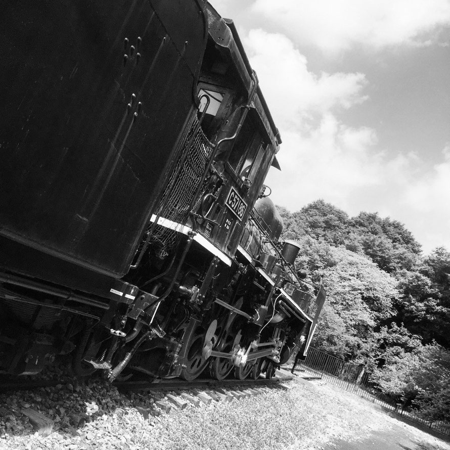 SL C57 train black & white version at Koganei Park Tokyo Koganei walking picnic tourist spot TAMA Tourism Promotion - Visit Tama　SL C57　小金井公園　東京都小金井市　散策　ピクニック　観光スポット　多摩観光振興会