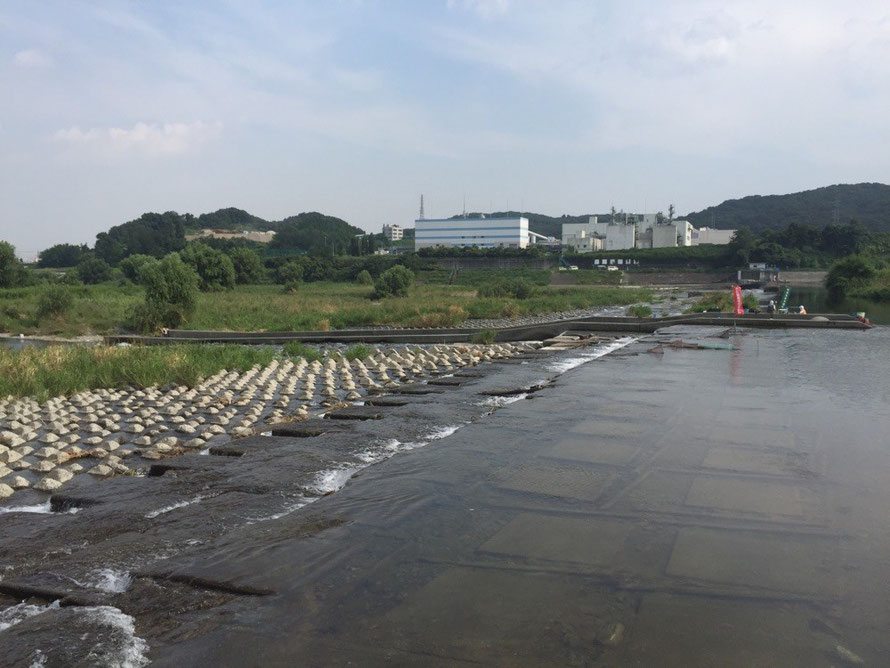 Tama River at Kyodonomori Park BBQ Place Tokyo Fuchu barbeque picnic tourist spot TAMA Tourism Promotion - Visit Tama　多摩川　郷土の森公園バーベキュー場付近　東京都府中市　ピクニック　観光スポット　多摩観光振興会