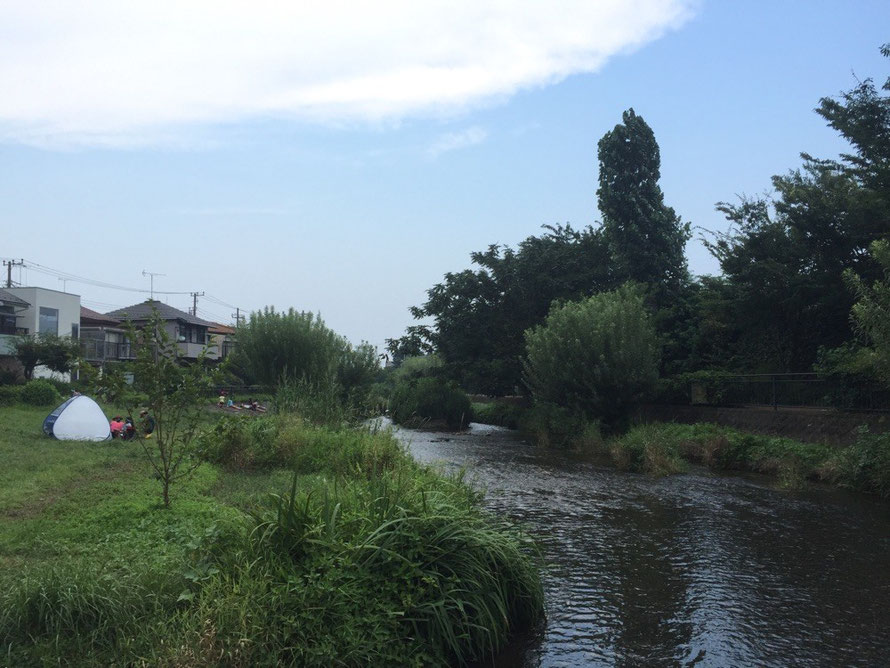 Ochiai River side park Tokyo Higashikurume waterfront picnic swimming walking activity tourist spot TAMA Tourism Promotion - Visit Tama　落合川いこいの水辺　東京都東久留米市　川遊び　ピクニック　散策　観光　スポット　多摩観光振興会