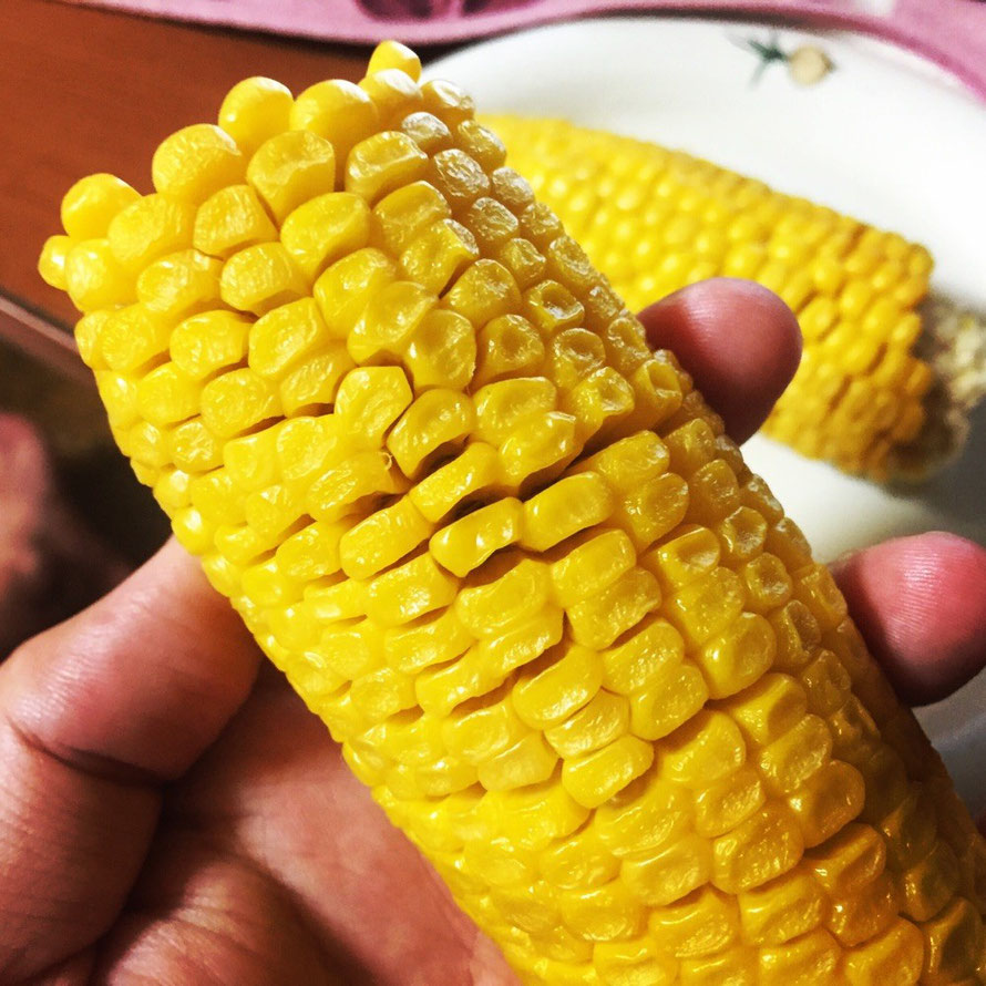 Corn Summer Vegetable Tokyo Akiruno Corn Street Akigawa Farmers Center food tourist spot TAMA Tourism Promotion - Visit Tama　とうもろこし　旬野菜　東京都あきる野市　秋川ファーマーズセンター　五日市街道　とうもろこし街道　観光　スポット　多摩観光振興会