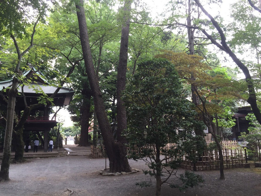 Senryuji Temple Tokyo Komae walking historical powerspot tourist spot TAMA Tourism Promotion - Visit Tama　泉龍寺　東京都狛江市　散策　パワースポット　歴史　観光スポット　多摩観光振興会　