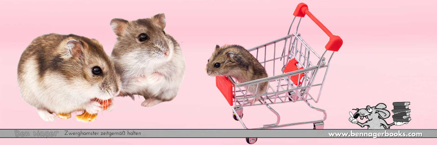 ZwerghamsterKaufen, woZwerghamsterKaufen, ZwerghamsterHaltung, süsseZwerghamsterFotos, HamsterKaefigKaufen, ZwerghamsterZahm ,BenNager, DsungarischerZwerghamster, HamsterLiebe, zahmer Hamster, Hamster zähmen, www.bennagerbooks.com