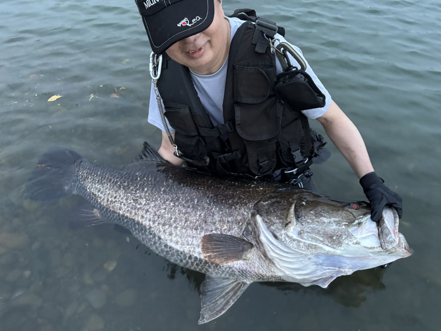 オーダーメイドロッド　ミウラデザイン　アカメ　四万十川　浦戸湾