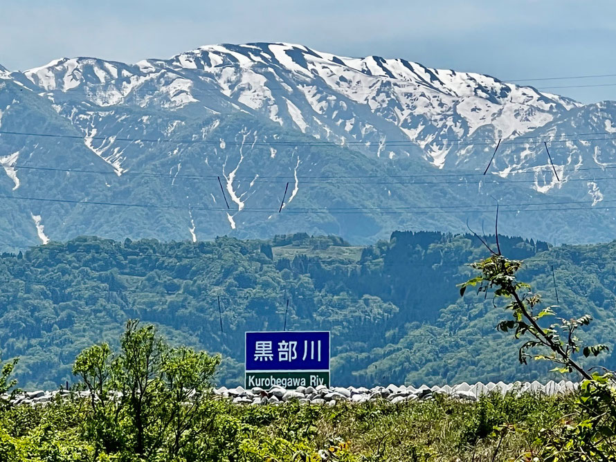 ミウラデザイン　ロッド　サクラマス　九頭竜川　黒部川