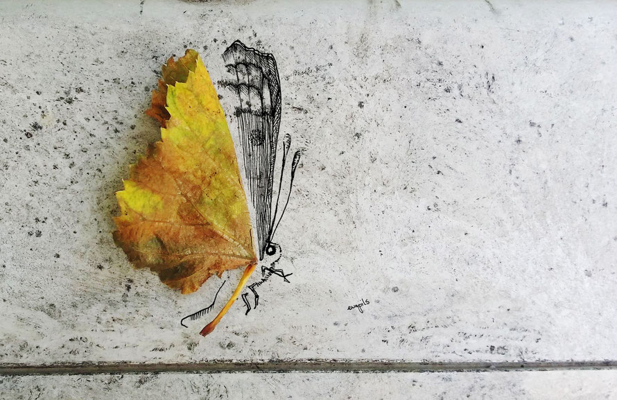 illustration seeing things series © evapils