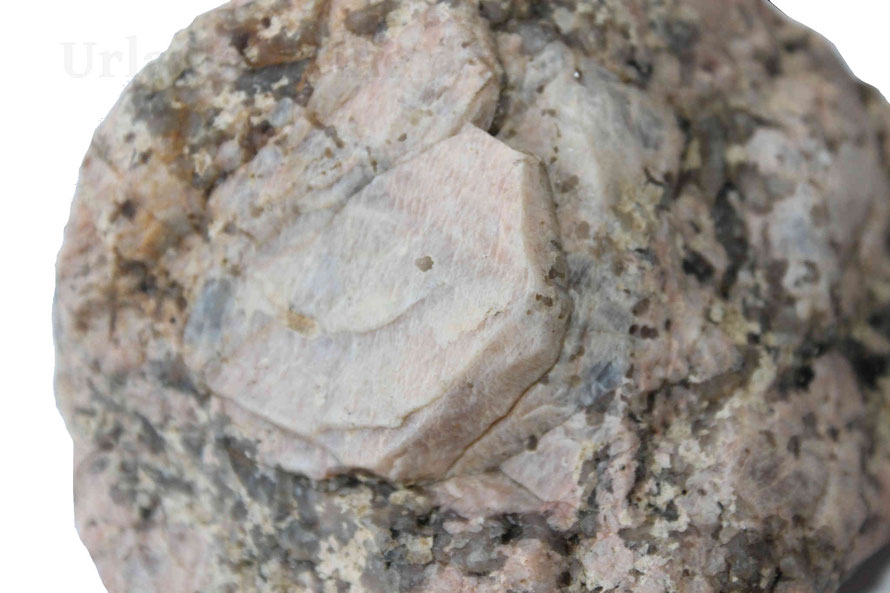 Detailaufnahme vom Feldspat an einem faustgroßen Granitstein.