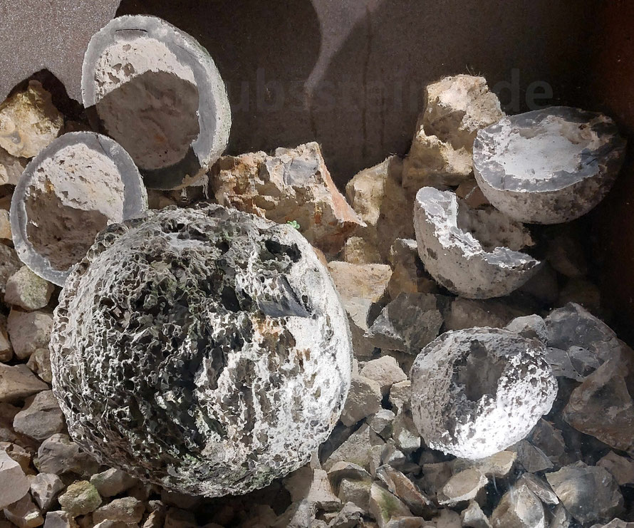 Kalkbälle sind fossile versteinerte Schwämme.